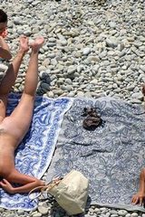 nudists oiled no thong butts
